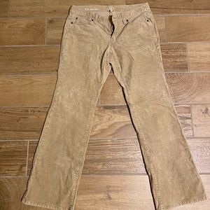 LOFT Curvy Boot Khaki Cords 6P